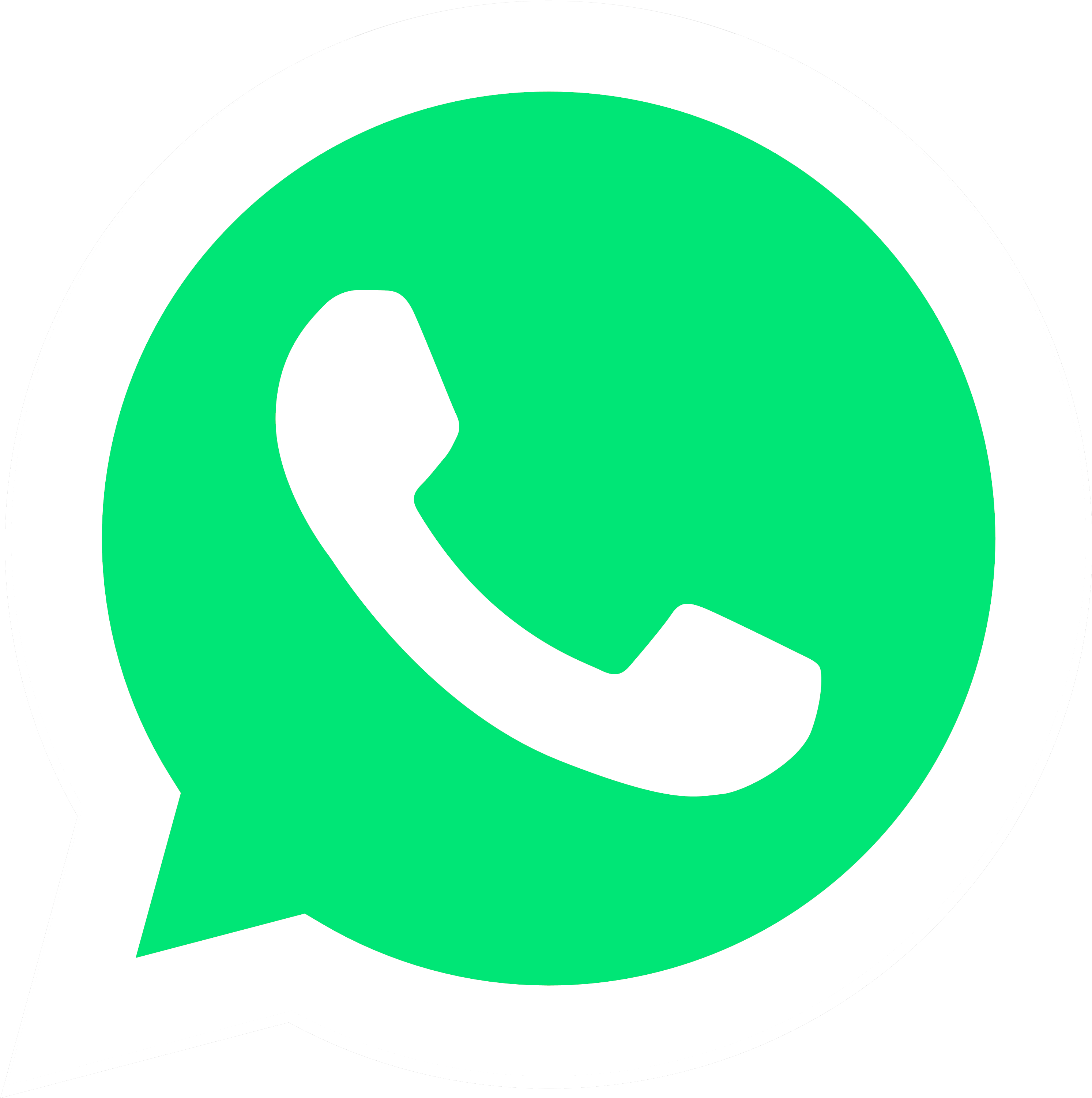 Logo whatsapp